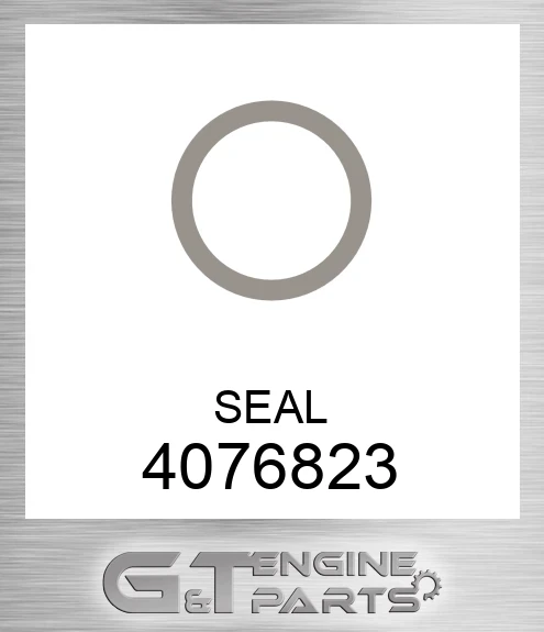 4076823 SEAL