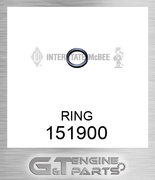 151900 Seal - O-Ring