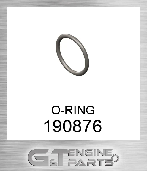 190876 O-RING