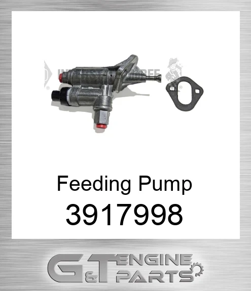 3917998 Feeding Pump