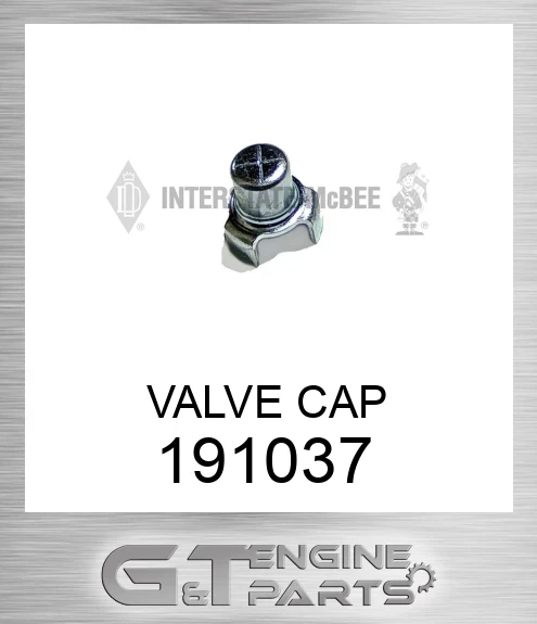 191037 VALVE CAP