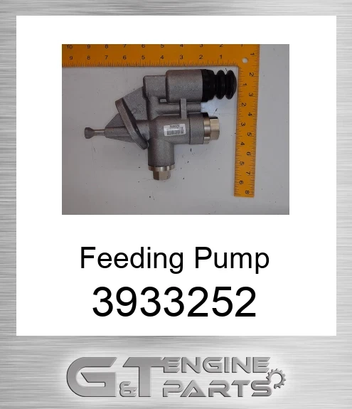 3933252 Feeding Pump