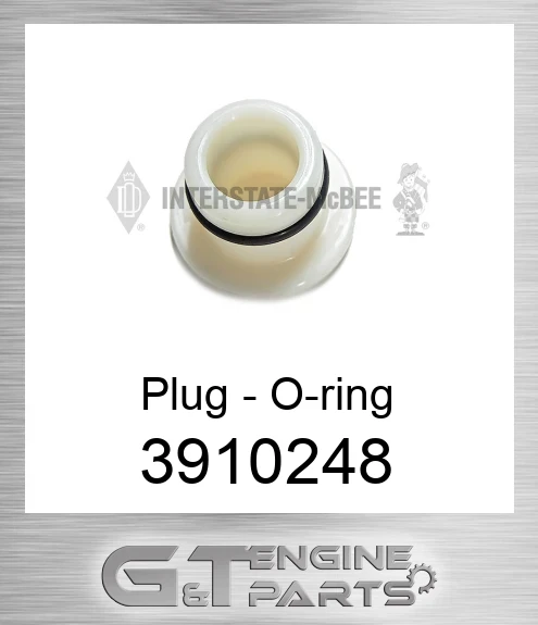 3910248 Plug - O-ring