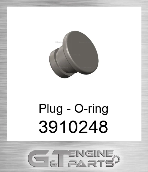 3910248 Plug - O-ring
