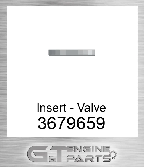 3679659 Insert - Valve