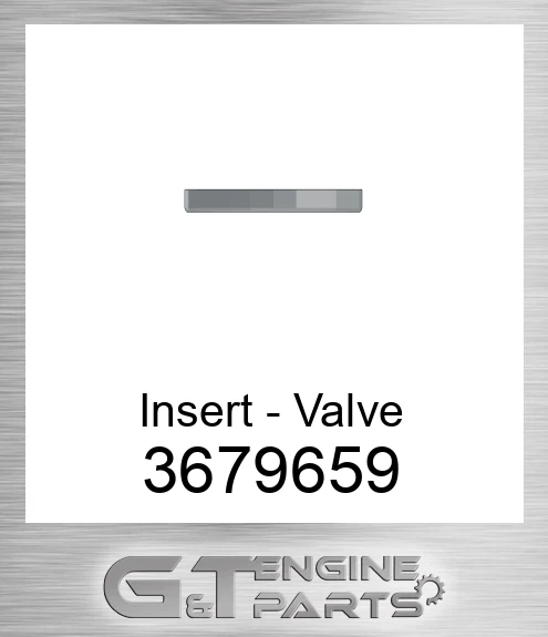 3679659 Insert - Valve