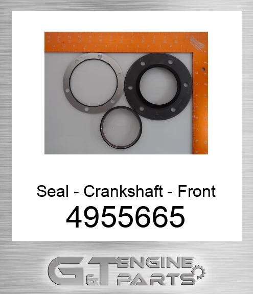 4955665 Seal - Crankshaft - Front