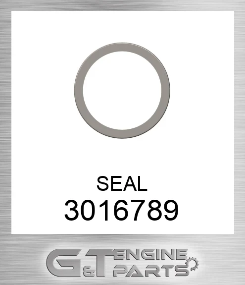 3016789 SEAL