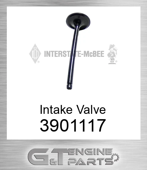 3901117 Intake Valve