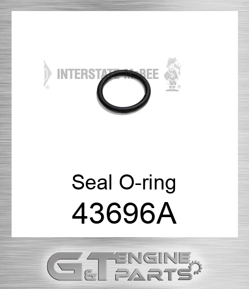 43696-A Seal O-ring