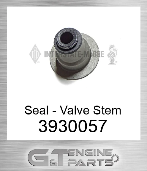 3930057 Seal - Valve Stem