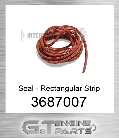 3687007 Seal - Rectangular Strip