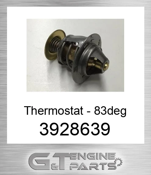 3928639 Thermostat