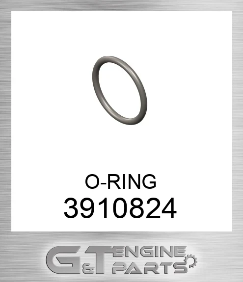 3910824 O-RING