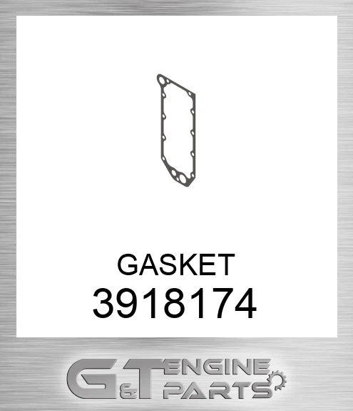 3918174 GASKET