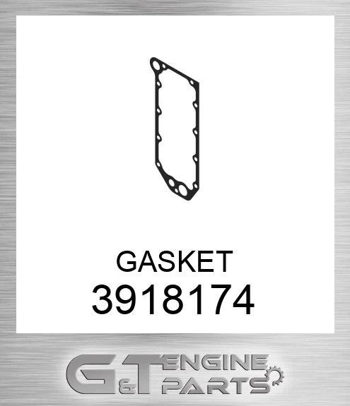 3918174 GASKET