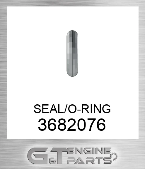 3682076 SEAL/O-RING