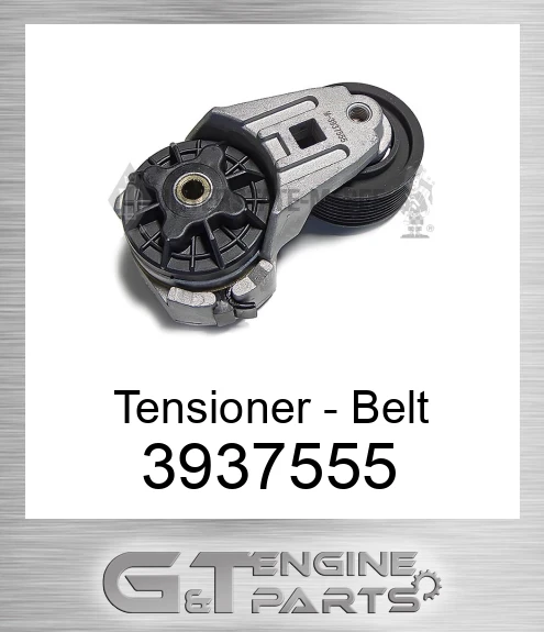 3937555 Tensioner - Belt