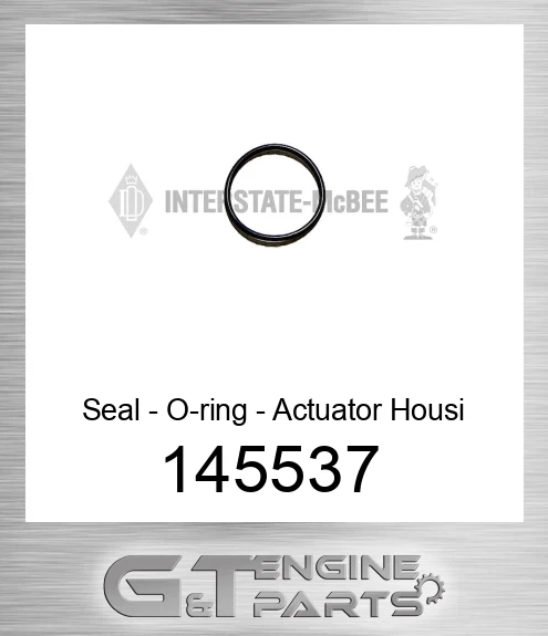 145537 Seal - O-ring - Actuator Housi