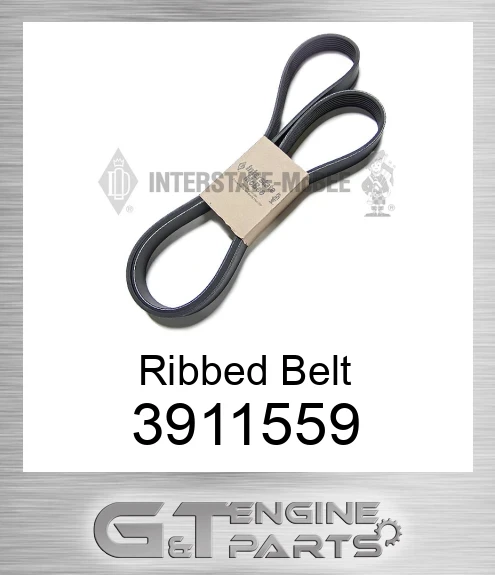 3911559 Ribbed Belt