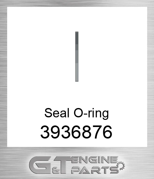 3936876 Seal O-ring