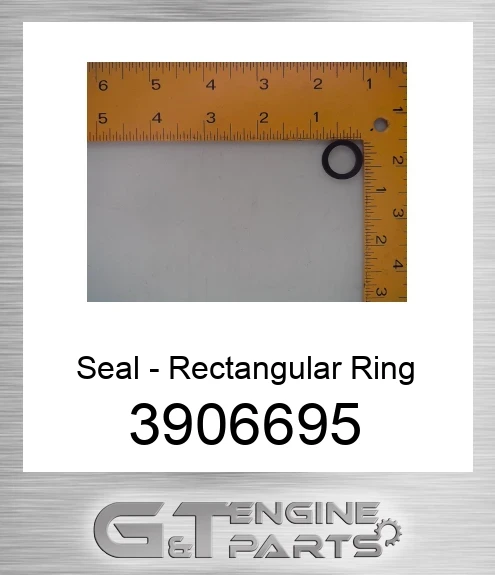 3906695 Seal - Rectangular Ring