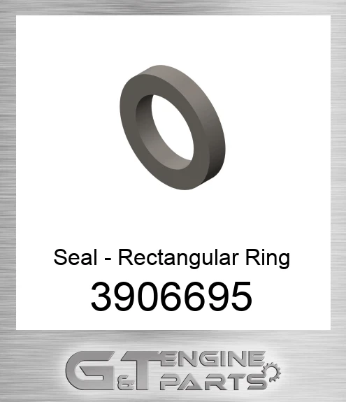 3906695 Seal - Rectangular Ring