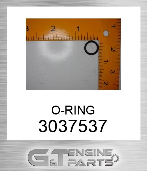 3037537 O-RING