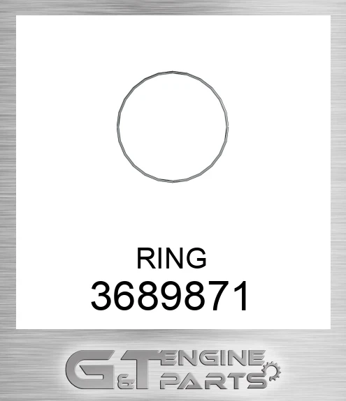 3689871 RING