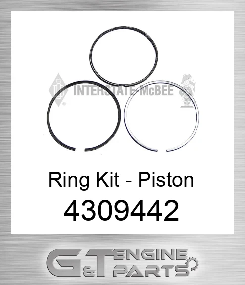 4309442 Ring Kit - Piston