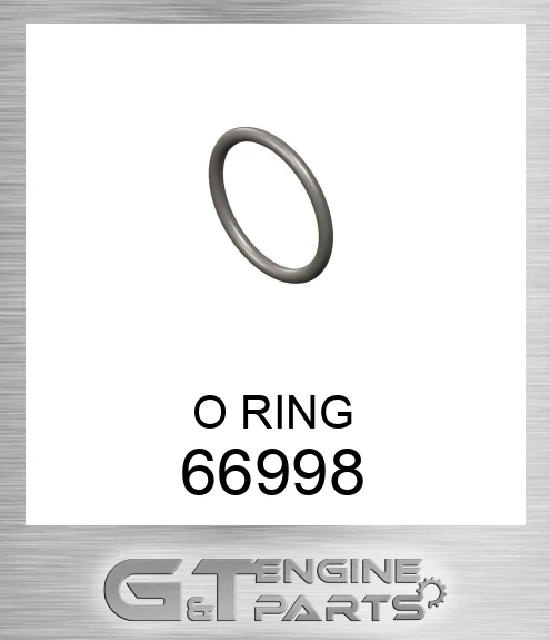 66998 O RING