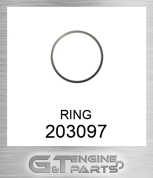 203097 RING
