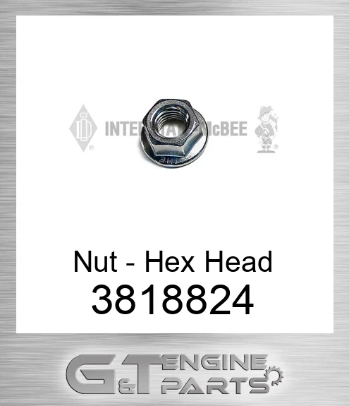 3818824 Nut
