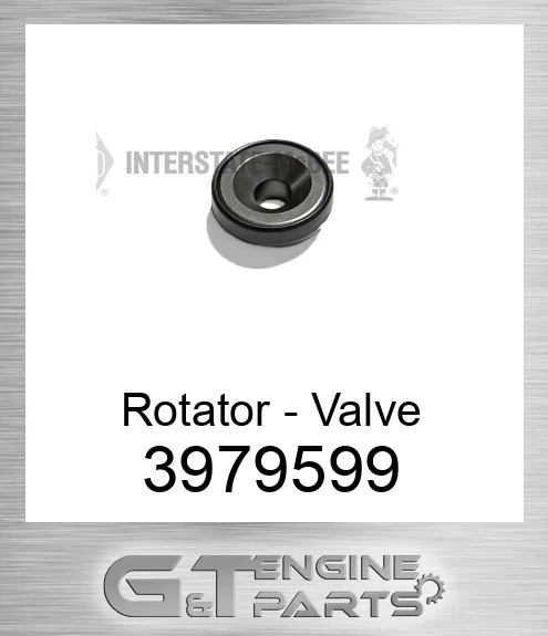 3979599 Rotator - Valve