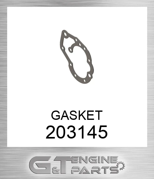 203145 GASKET