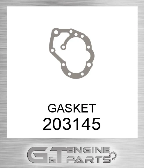 203145 GASKET