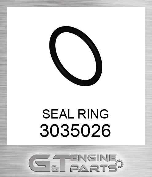 3035026 SEAL RING