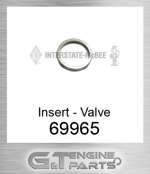 69965 Insert - Valve