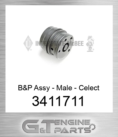 3411711 B&P Assy - Male - Celect
