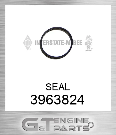 3963824 SEAL