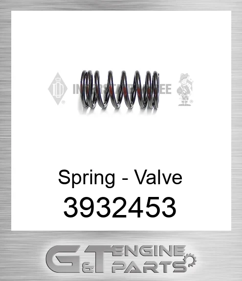 3932453 Spring - Valve