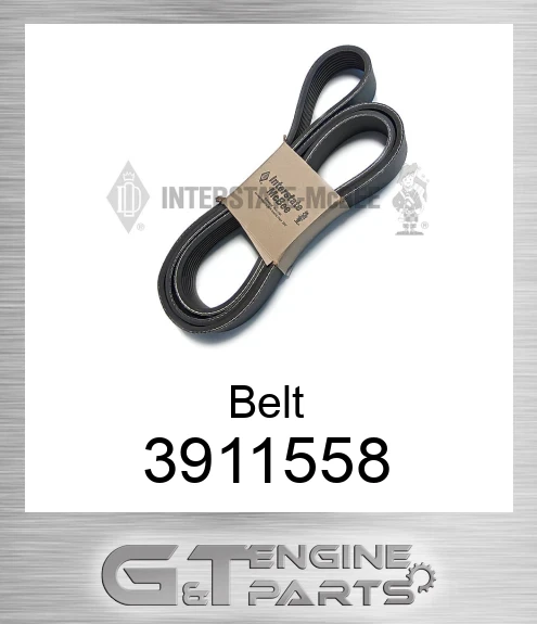 3911558 Belt