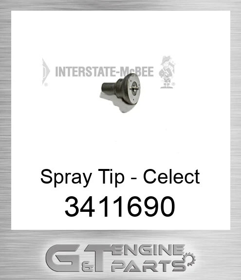 3411690 Spray Tip - Celect