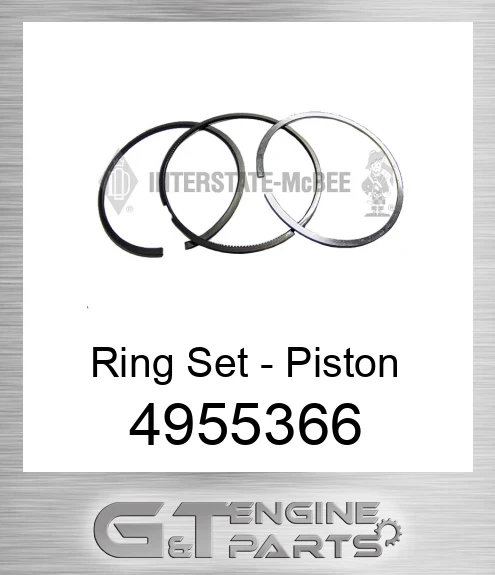 4955366 Ring Set - Piston