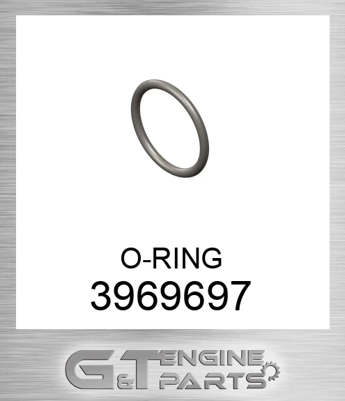 3969697 O-RING