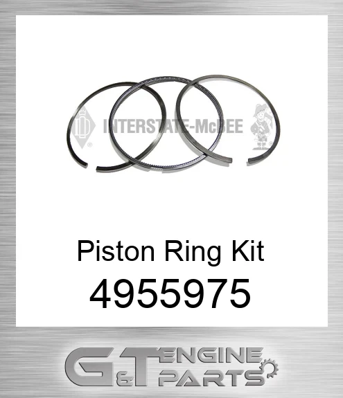 4955975 Ring Kit - Piston