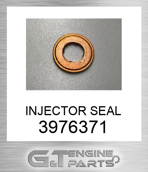 3976371 INJECTOR SEAL