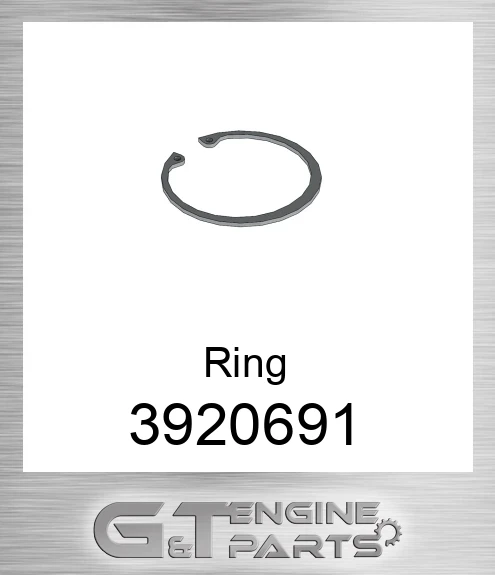 3920691 Ring