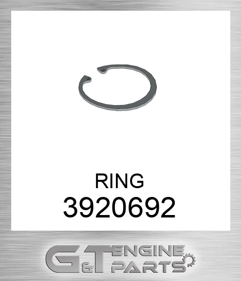 3920692 RING