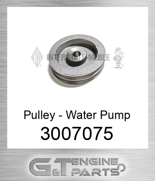 3007075 Pulley - Water Pump